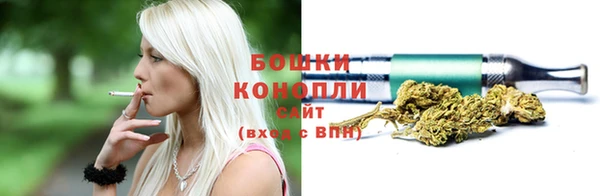 шишки Армянск