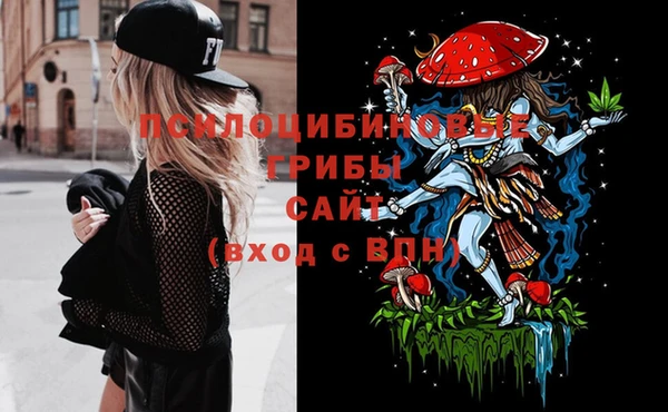 шишки Армянск