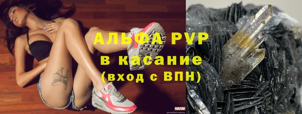 шишки Армянск