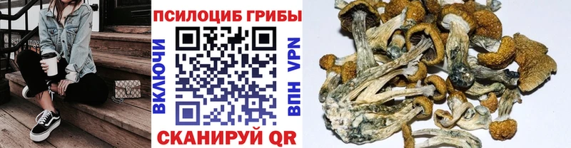 Галлюциногенные грибы прущие грибы Белорецк
